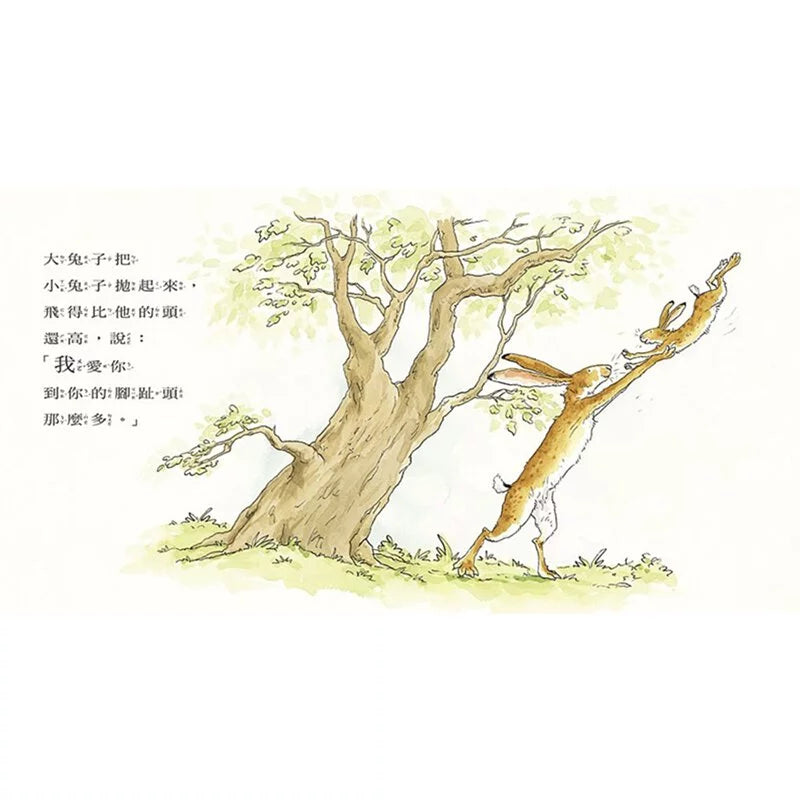 猜猜我有多愛你 | Guess How Much I Love You | Chinese (Traditional)
