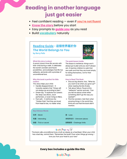 reading guide chinese language learning kids